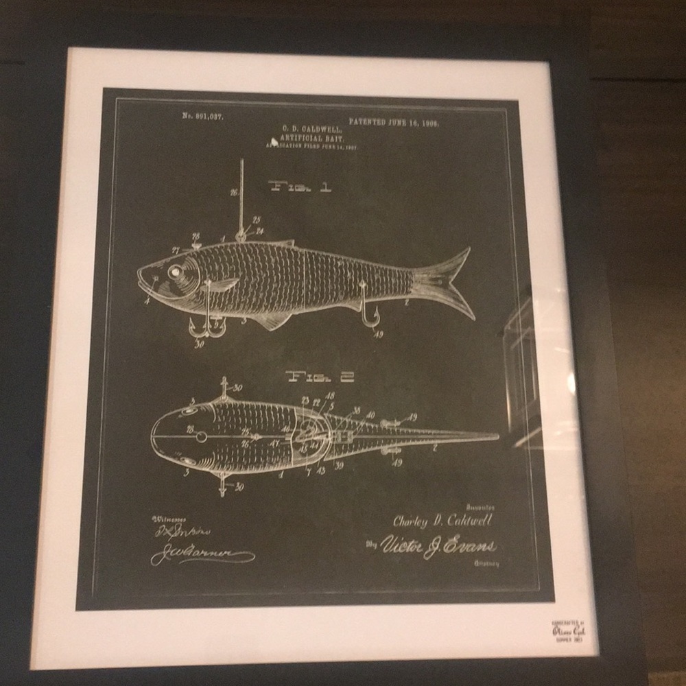 Oliver Gal 17x20 framed Art (Blueprint of Fish)